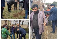 کاشت نهال در محوطه فضای سبز ساختمان اداری منطقه و توزیع  نهال  مثمر رایگان به شهروندان منطقه چهار شهرداری اسلامشهر